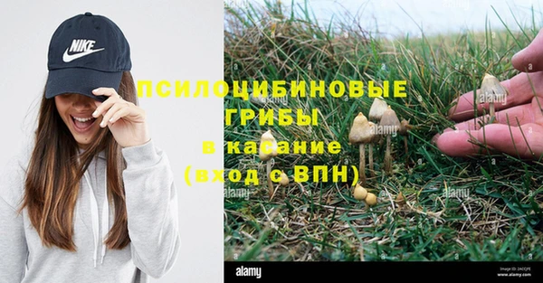 бошки Нягань