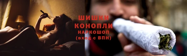 ГАЛЛЮЦИНОГЕННЫЕ ГРИБЫ Няндома