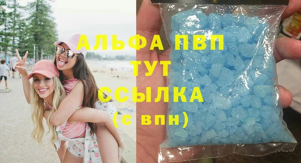 ГАЛЛЮЦИНОГЕННЫЕ ГРИБЫ Няндома