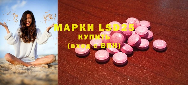 ГАЛЛЮЦИНОГЕННЫЕ ГРИБЫ Няндома