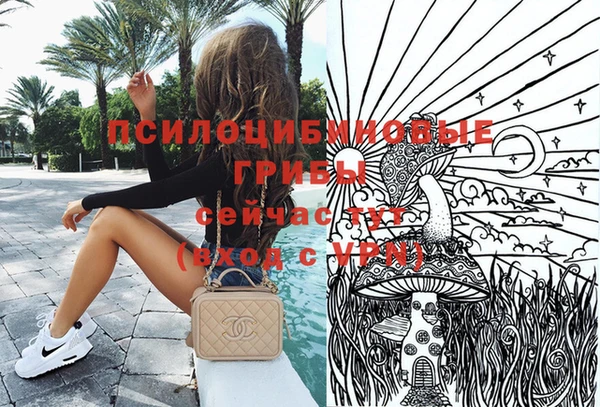 бошки Нягань